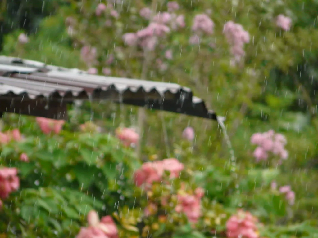 Vaguada provocará lluvias en varias provincias este martes y miércoles