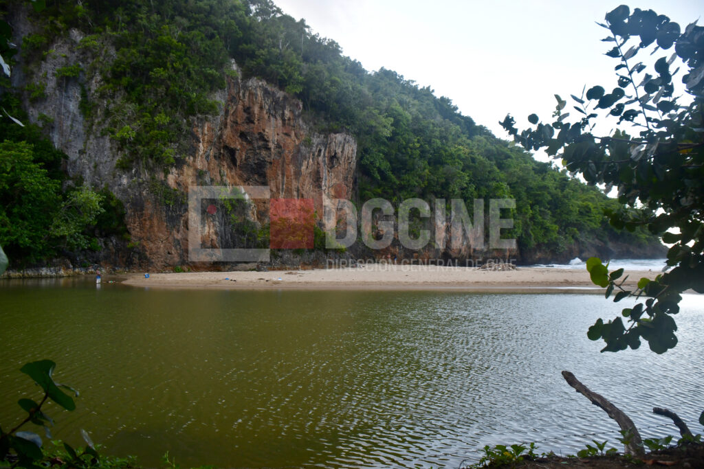 Suroeste Unido por el Agua y la Vida realiza jornada de reforestación en cuenca río San Juan