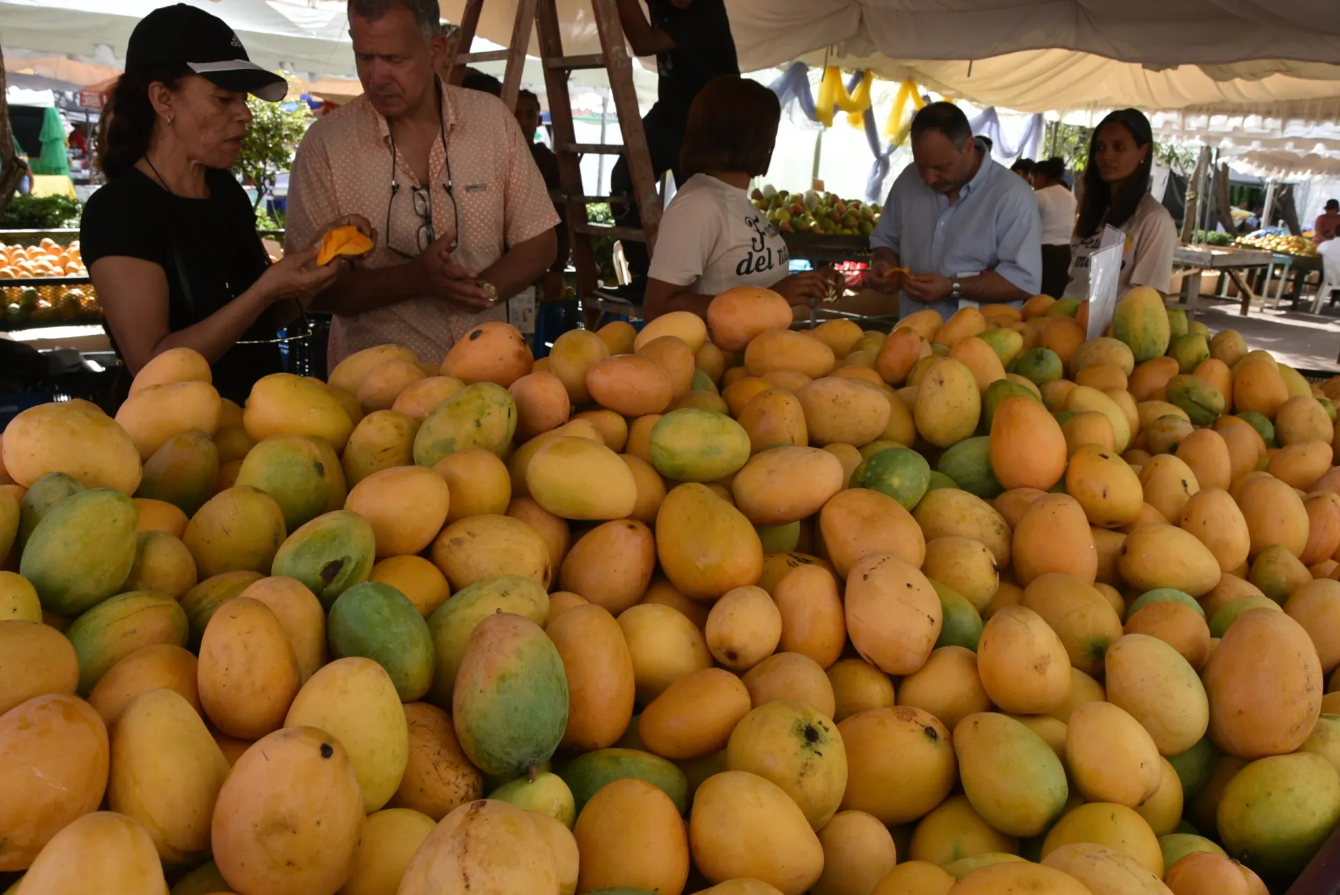 Baní inaugura la Expo Mango 2025 en homenaje a Limber Cruz
