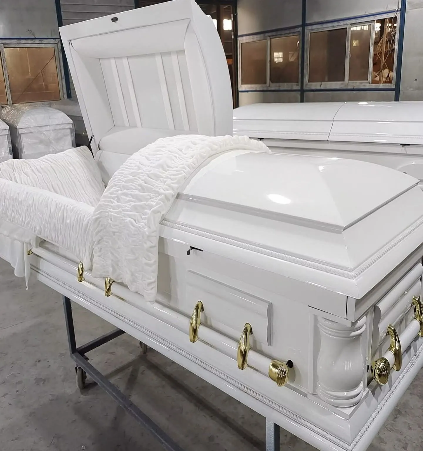Desconocidos Roban ataúd en funeraria de Azua