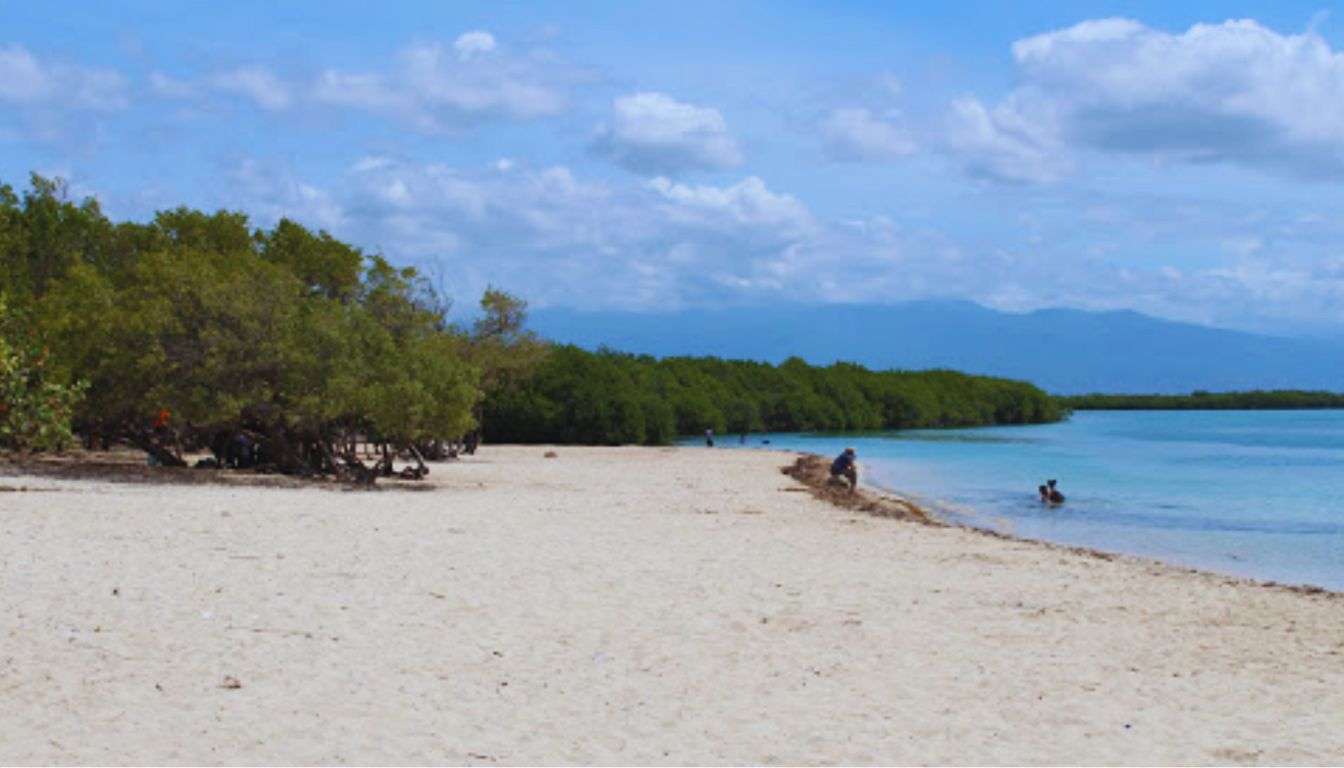 República Dominicana supera los 8 millones de visitantes hasta agosto con crecimiento de 2.8 %