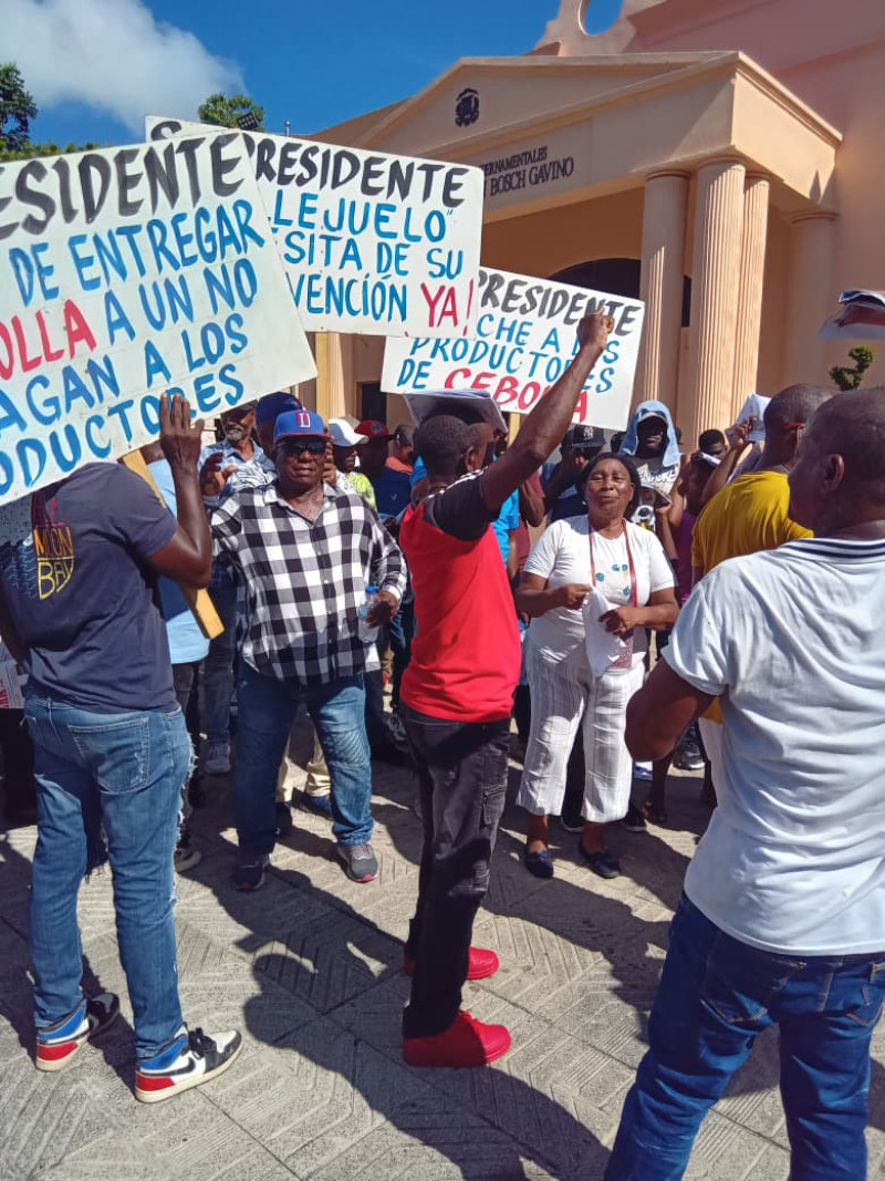 Productores de cebolla exigen pago de RD$ 205 millones al Estado