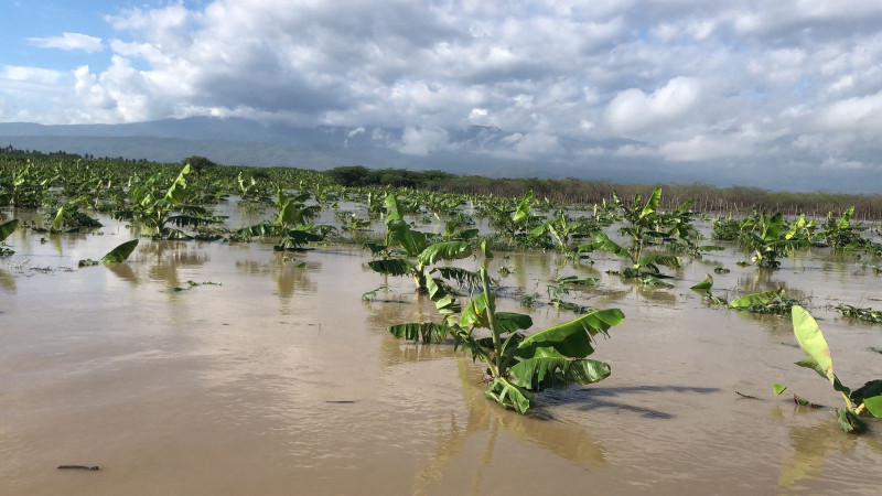 Ministerio de Agricultura pide RD$1,800 MM ante pérdidas causadas por huracán Melissa