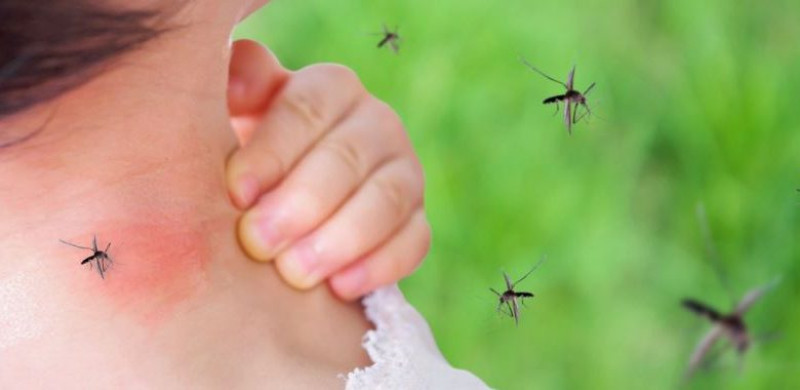 Azua, San Juan y Elías Piña, registran el 95% casos de malaria según informaciones del MSP