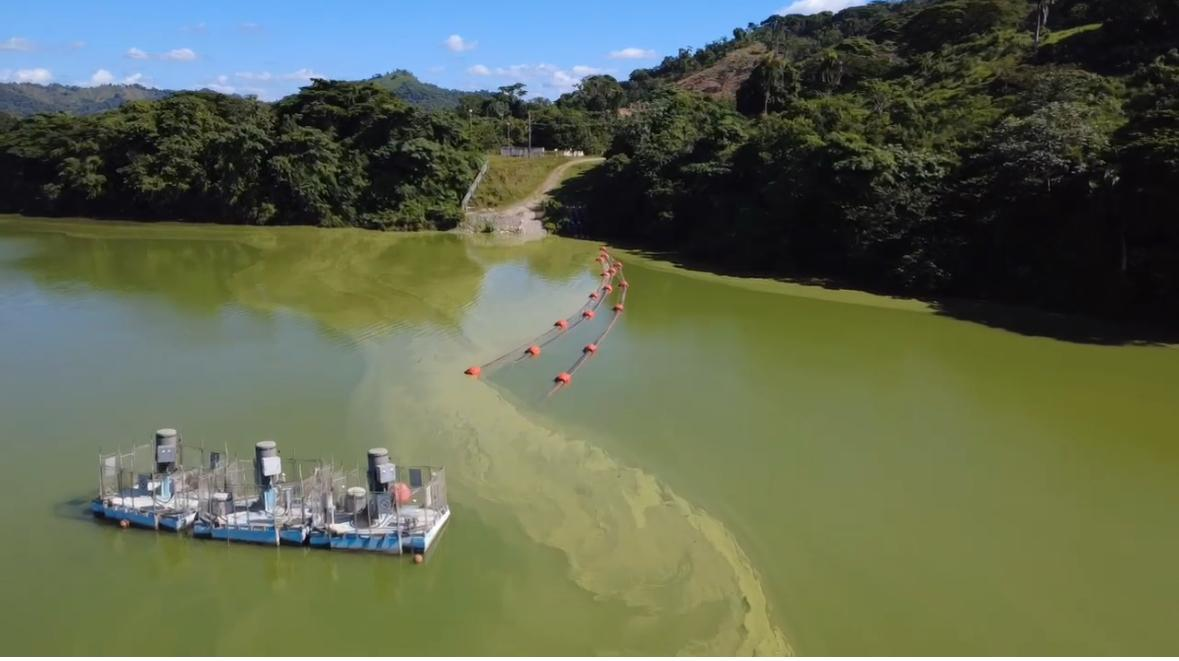La Academia de Ciencias denuncia contaminación en la presa de Hatillo