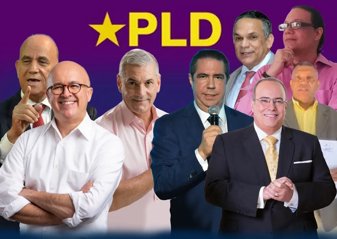 Gonzalo Castillo y Francisco Javier encabezan encuesta semanal de Panorama sobre precandidatos del PLD