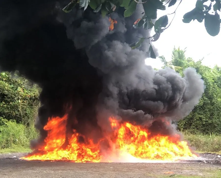Inacif destruye más de dos toneladas de drogas incautadas, en su mayoría en Peravia