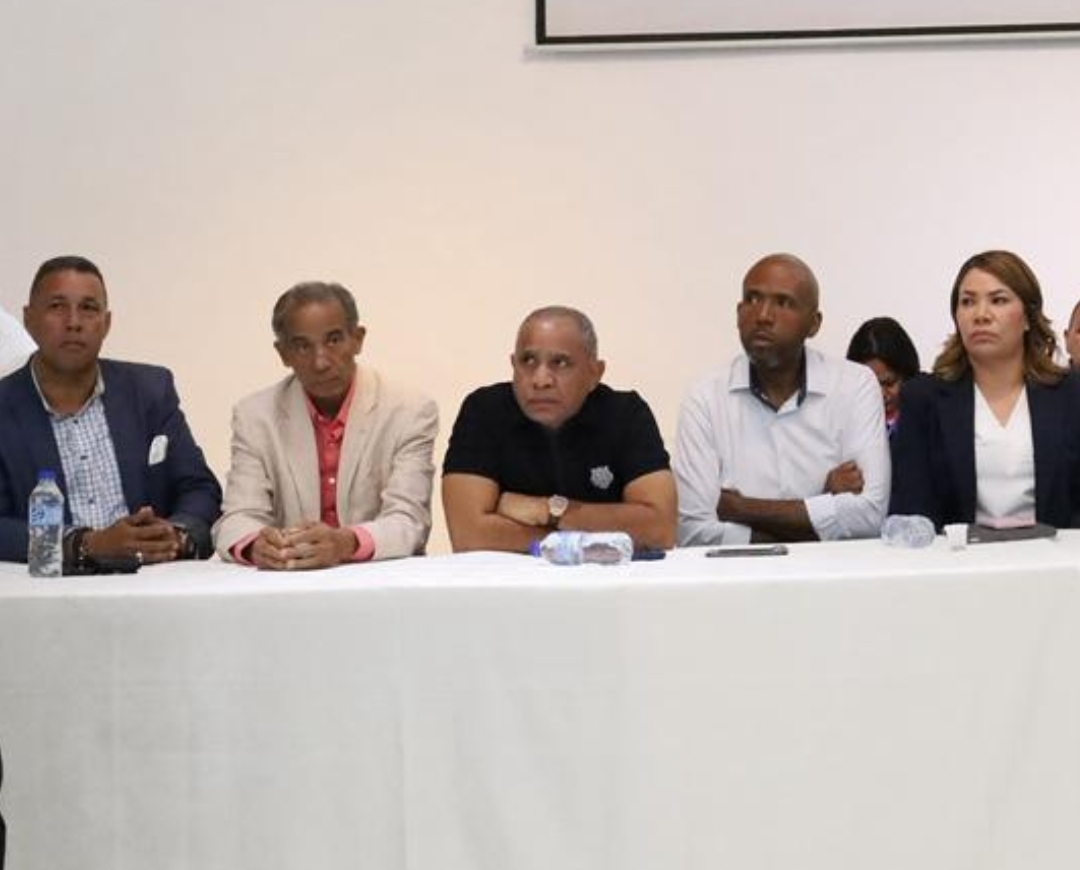 El Dirigente del PRM Rudys Fernandez dice “Figura de Yayo Sanz Lovatón sufre la teoria del entorno” anuncia consultas con su equipo político.