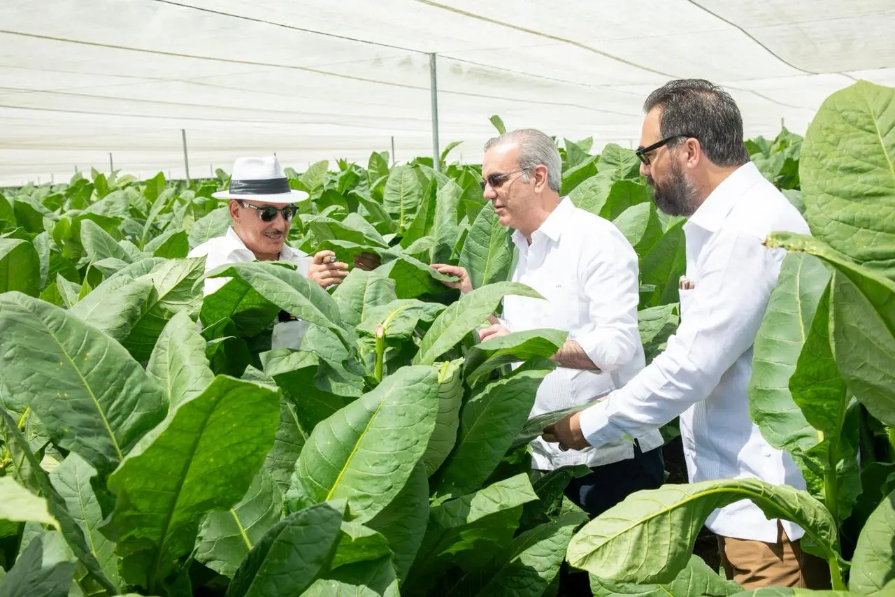 Abinader apuesta por modernizar producción de tabaco tras visita en Monte Plata