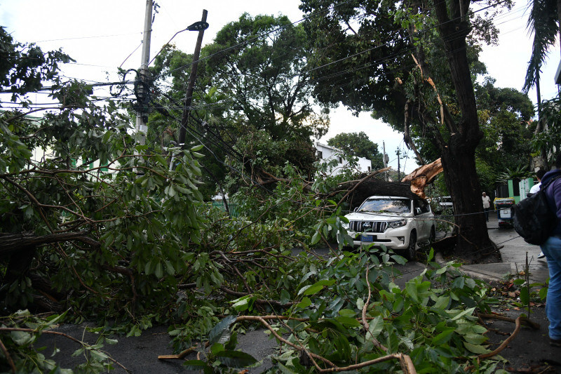 “Parece que pasó un tornado”: Las secuelas de lluvias y ráfagas de viento en Gascue