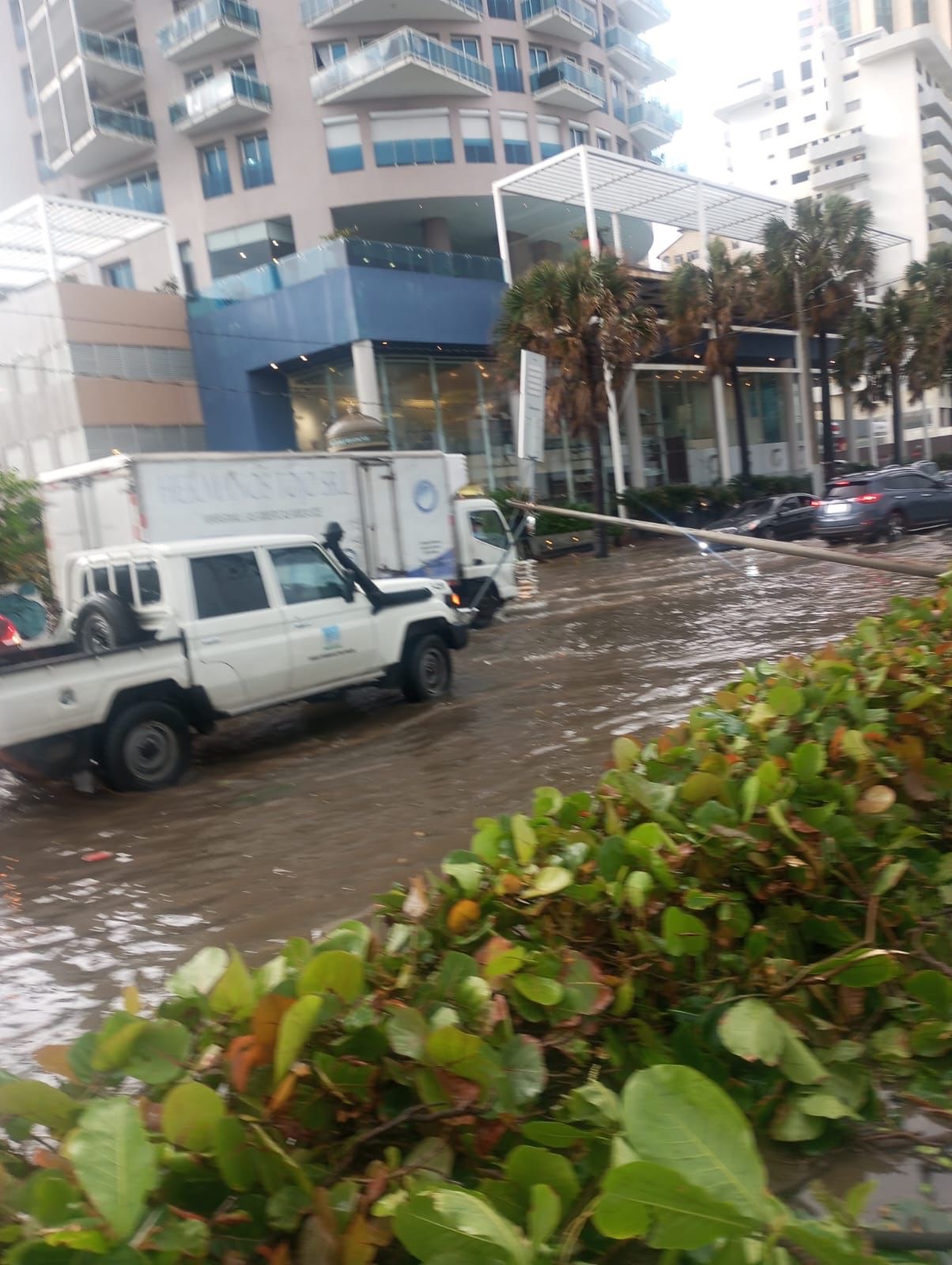 Caídas de árboles y postes afectan tránsito en el Gran Santo Domingo por condiciones climáticas