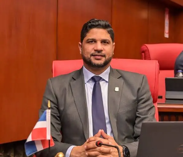 Senador pide declarar San Cristóbal en emergencia por inundaciones