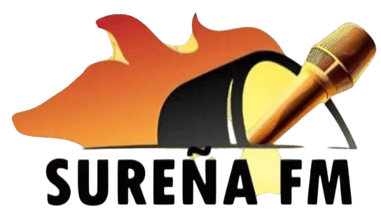 xn--sureafm-7za.com
