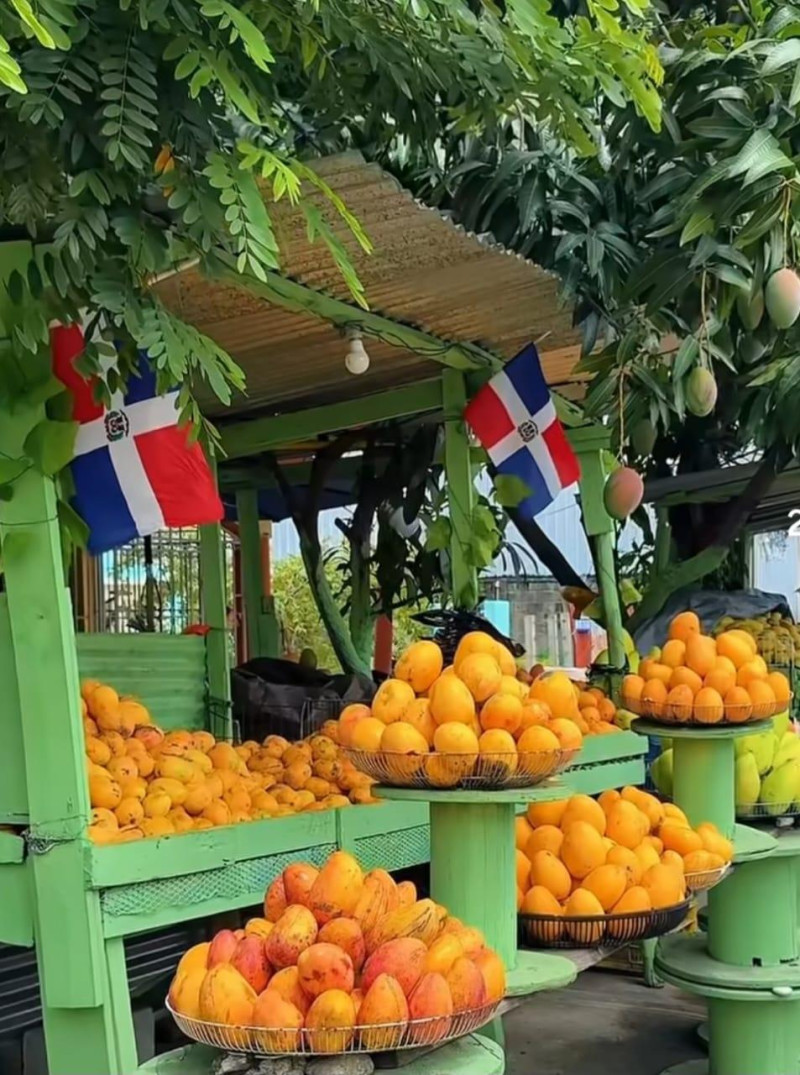 Hipólito Mejía destaca entusiasmo de los visitantes en la Feria del Mango Banilejo